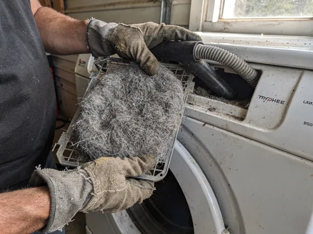 Cleaning Dryer Lint Trap in Glendora